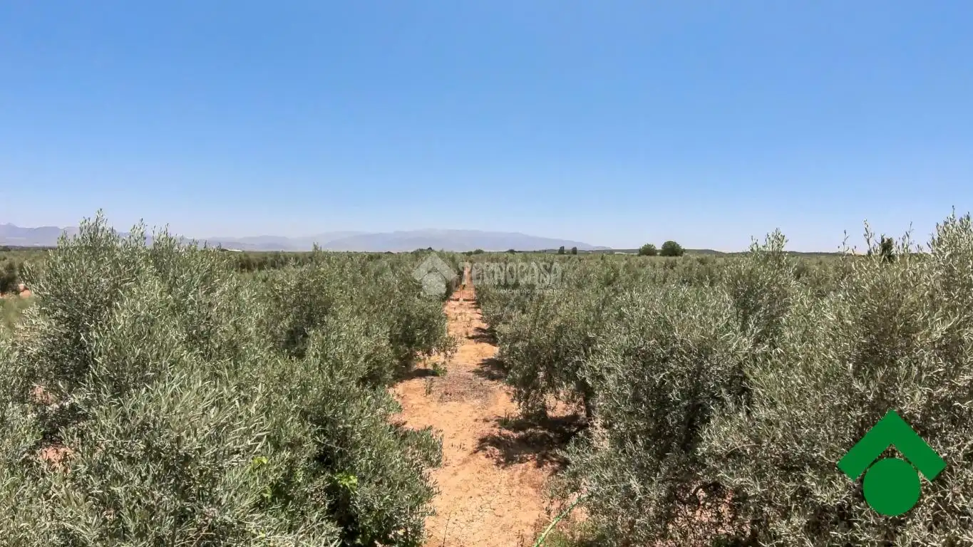Rustikales Grundstück zum Verkauf in Santa Fe, imagen 24