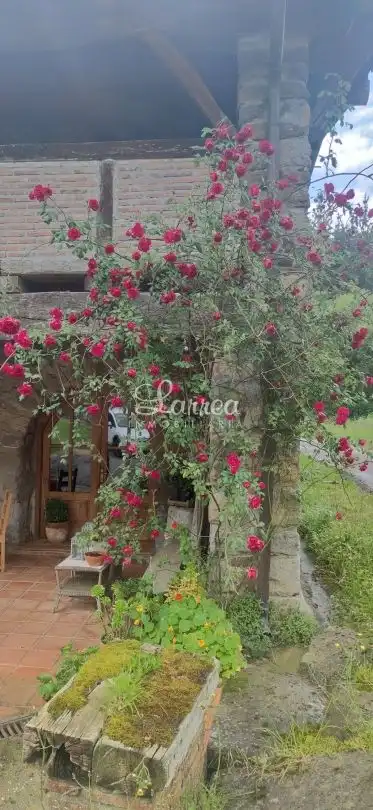 Garden of Detached homes for sale in Zeberio  with Heating and Furnished