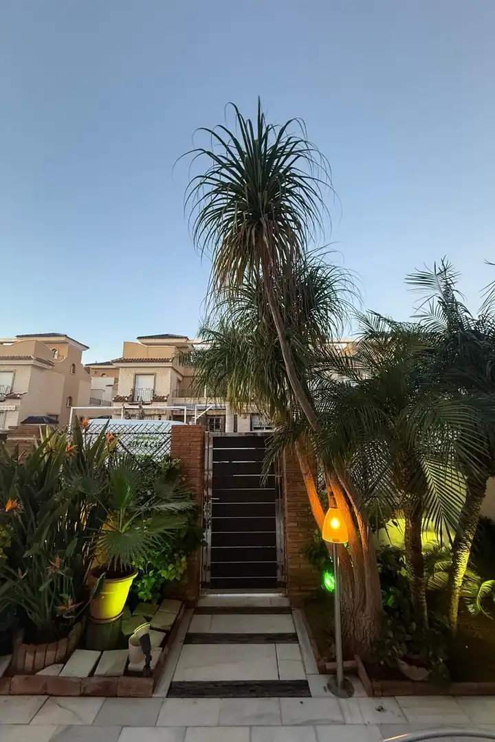 Vista exterior de Casa adosada en venda en Pilar de la Horadada amb Balcó