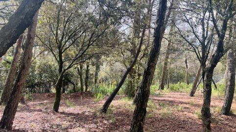 Terreno semiplano en Cavall Bernat, immagine 4