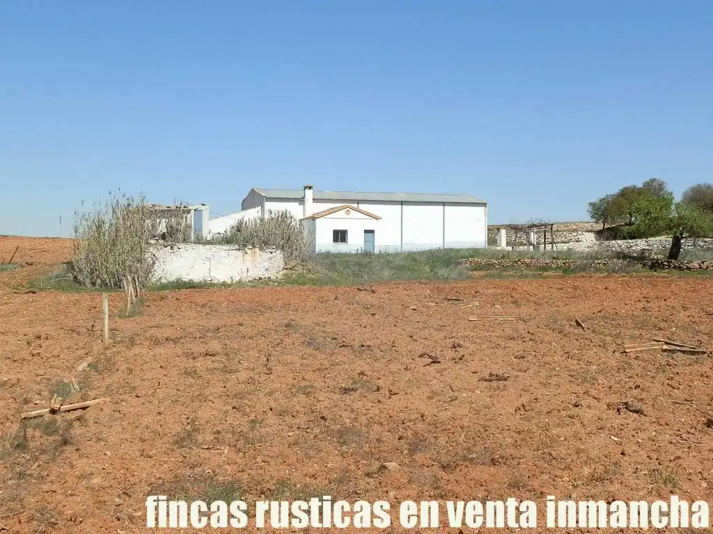 Rural land for sale in Valdepeñas, imagen 27