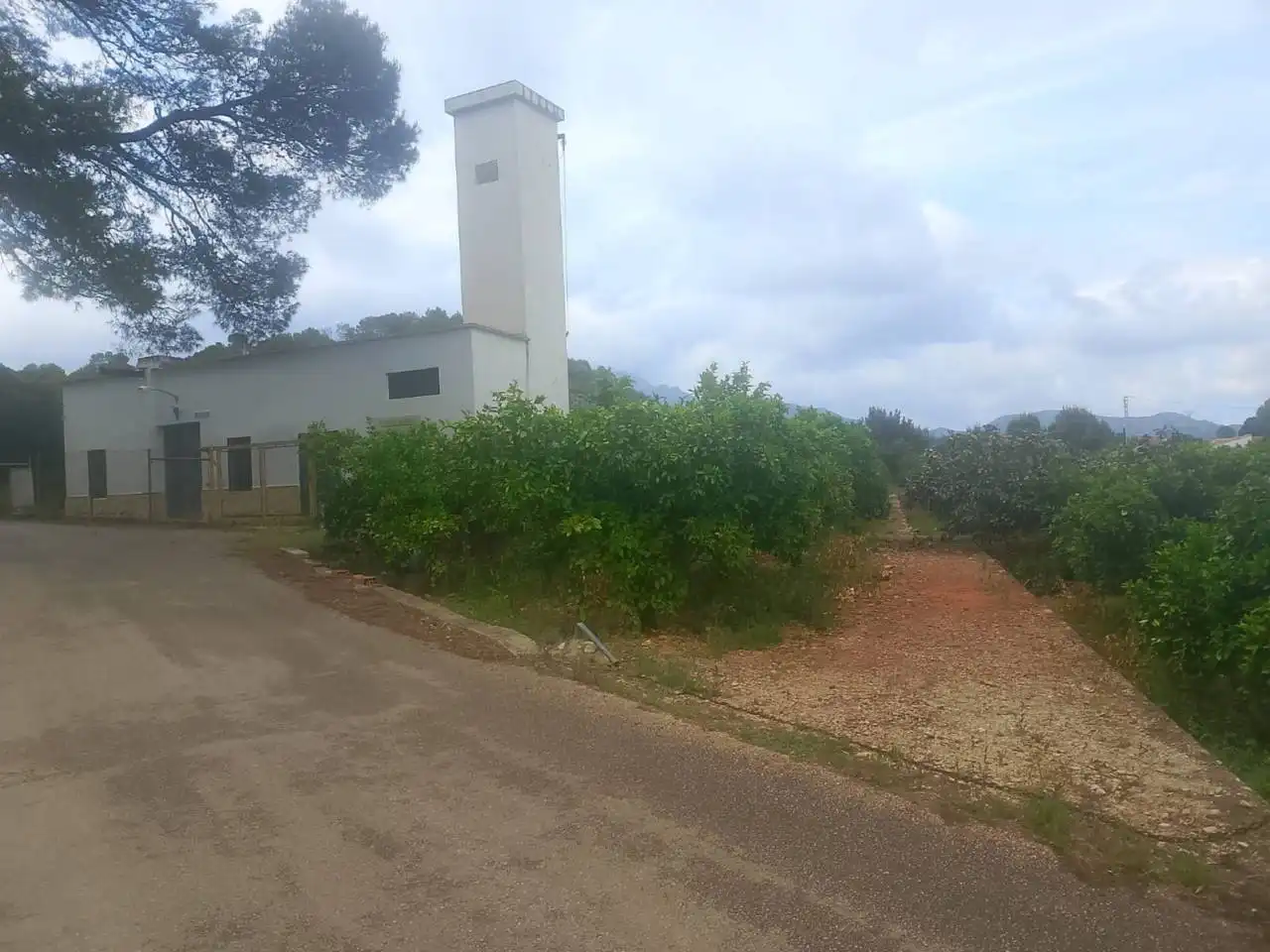 Terrain rustique à vendre à Calle Cami Rural Rotova, imagen 3