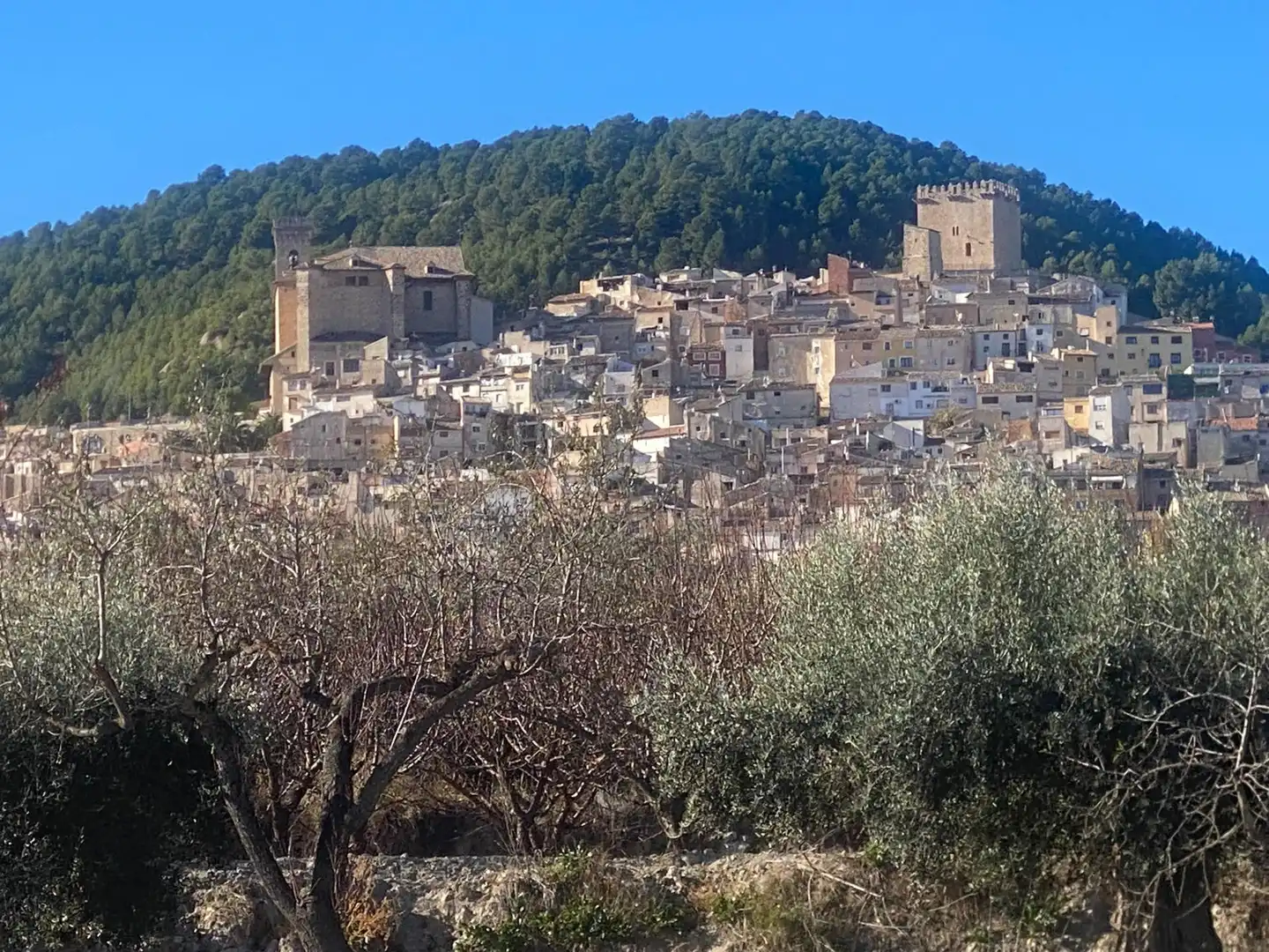 Terreni e lotti in vendita a Moratalla