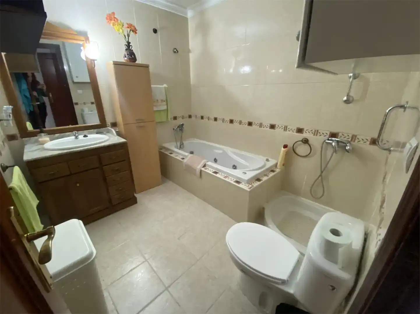 Bathroom of Flat for sale in Peñaflor