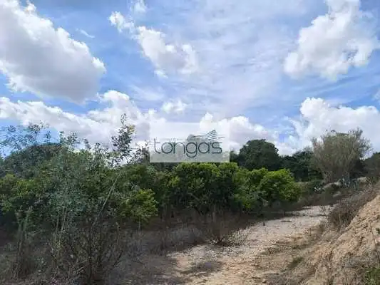 Terreny rústic en venda a Vallés, imagen 3