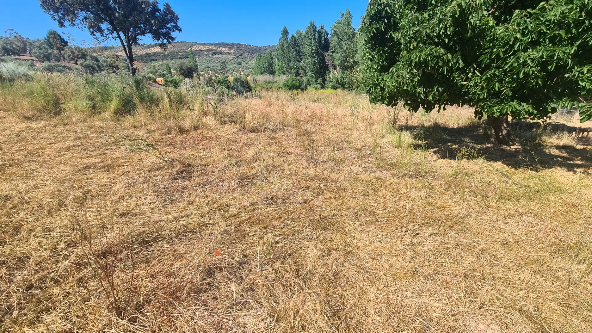 Terreno en venta en Malcocinado