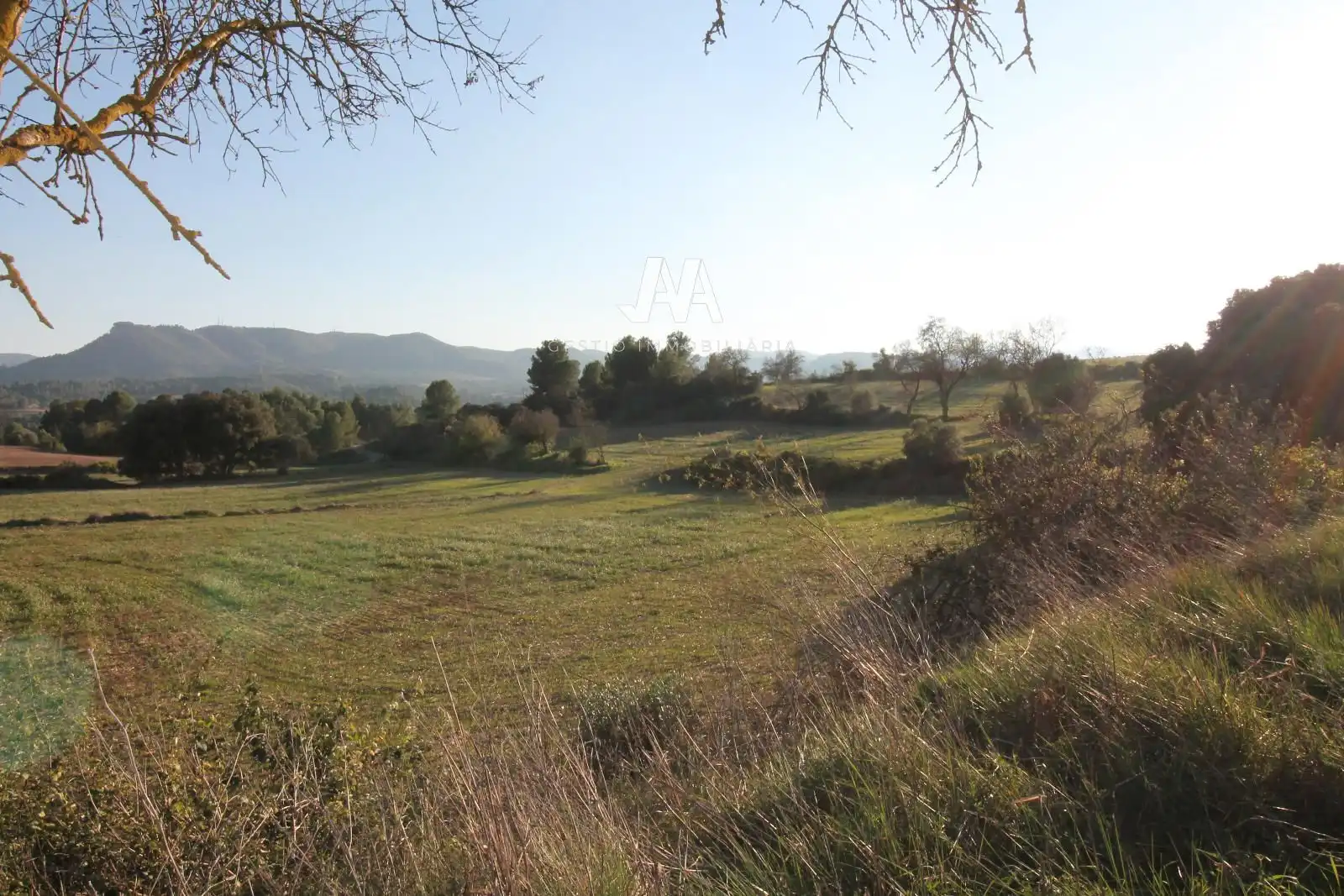 Xalet amb jardí en venda a Jorba, imagen 13