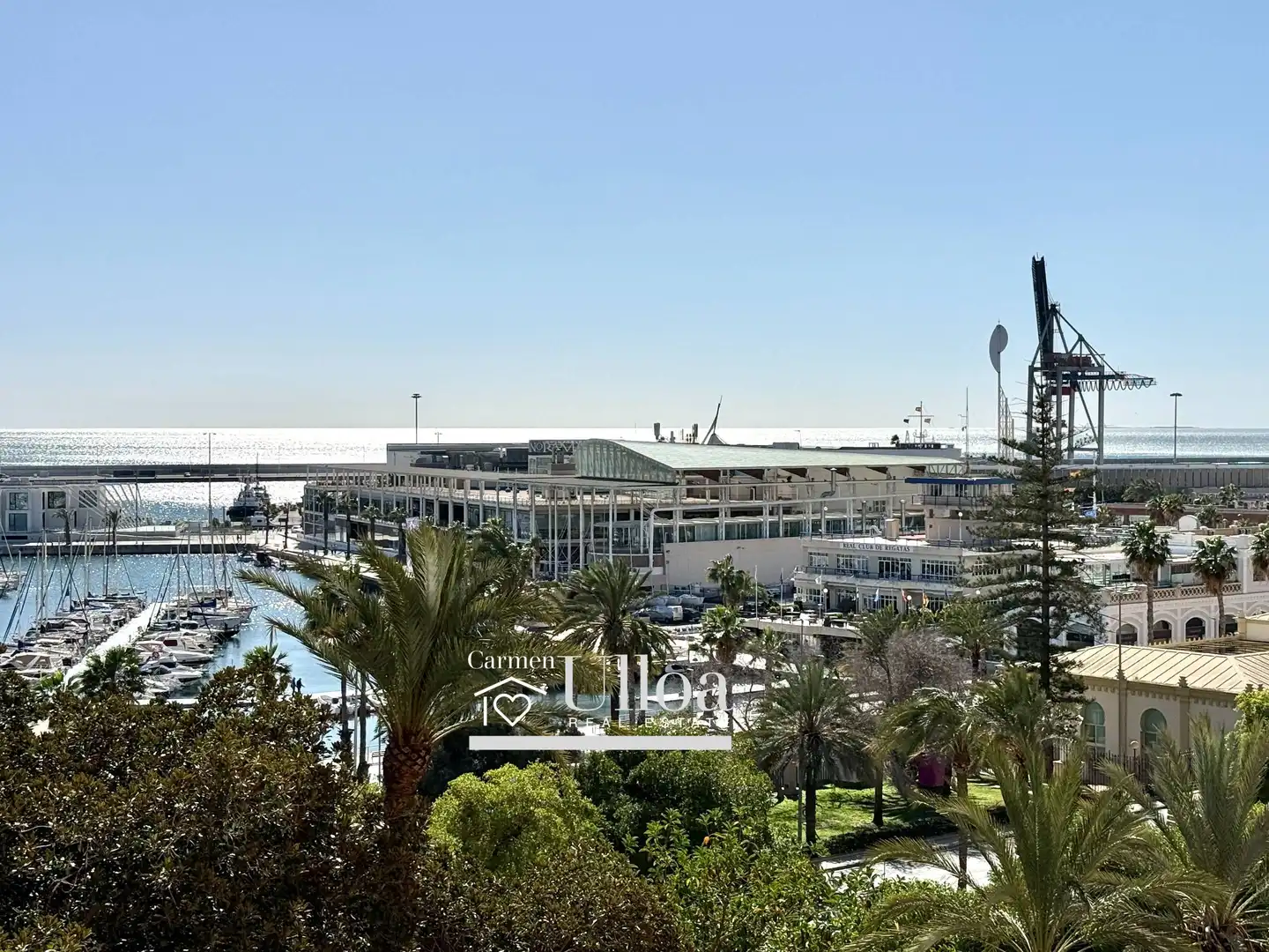 Vista exterior de Apartament en venda en Alicante / Alacant amb Aire condicionat, Calefacció i Jardí privat