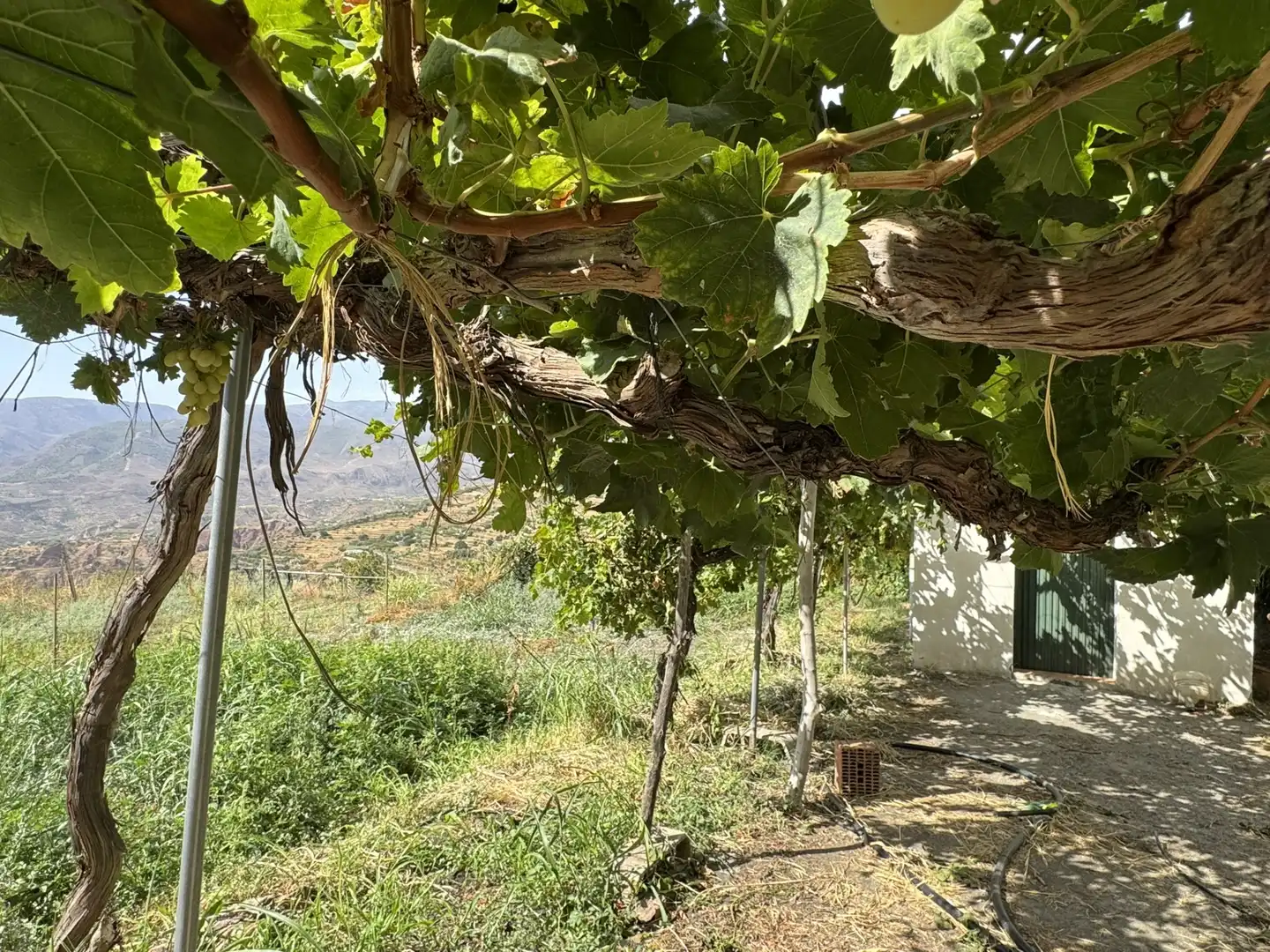 Jardí de Terreny en venda en Ohanes
