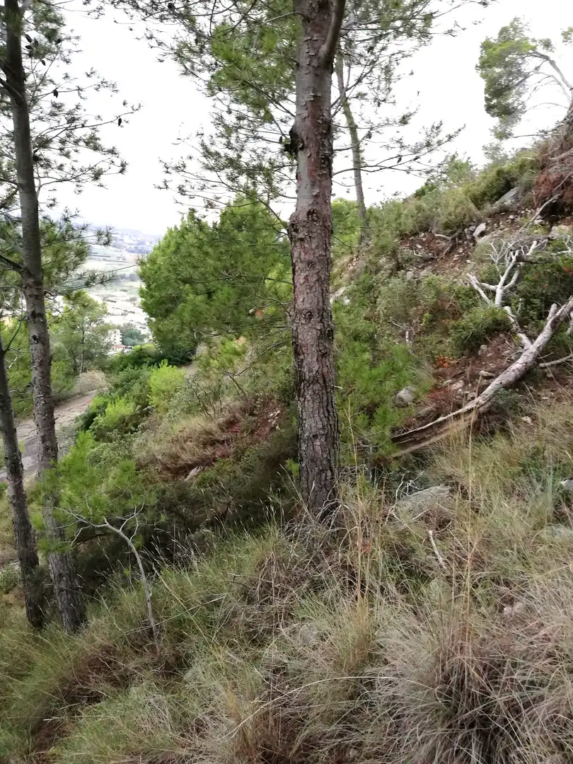 Terreny residencial en venda a L'Estartit Poble, imagen 3