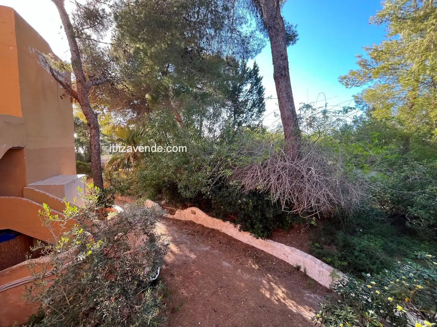 Wohnung zur Miete in del Club Robinson, Cala Vedella - Cala Tarida
