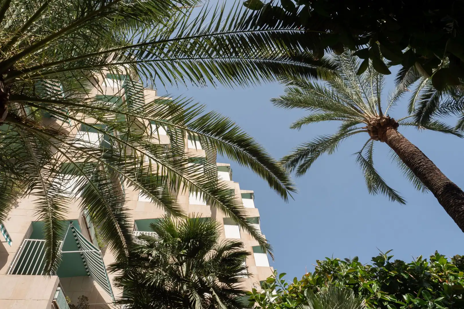 Apartamento en venta en El Terreno
