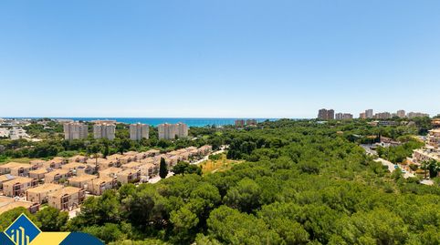 Foto 2 de Piso en venta en Campoamor, Orihuela