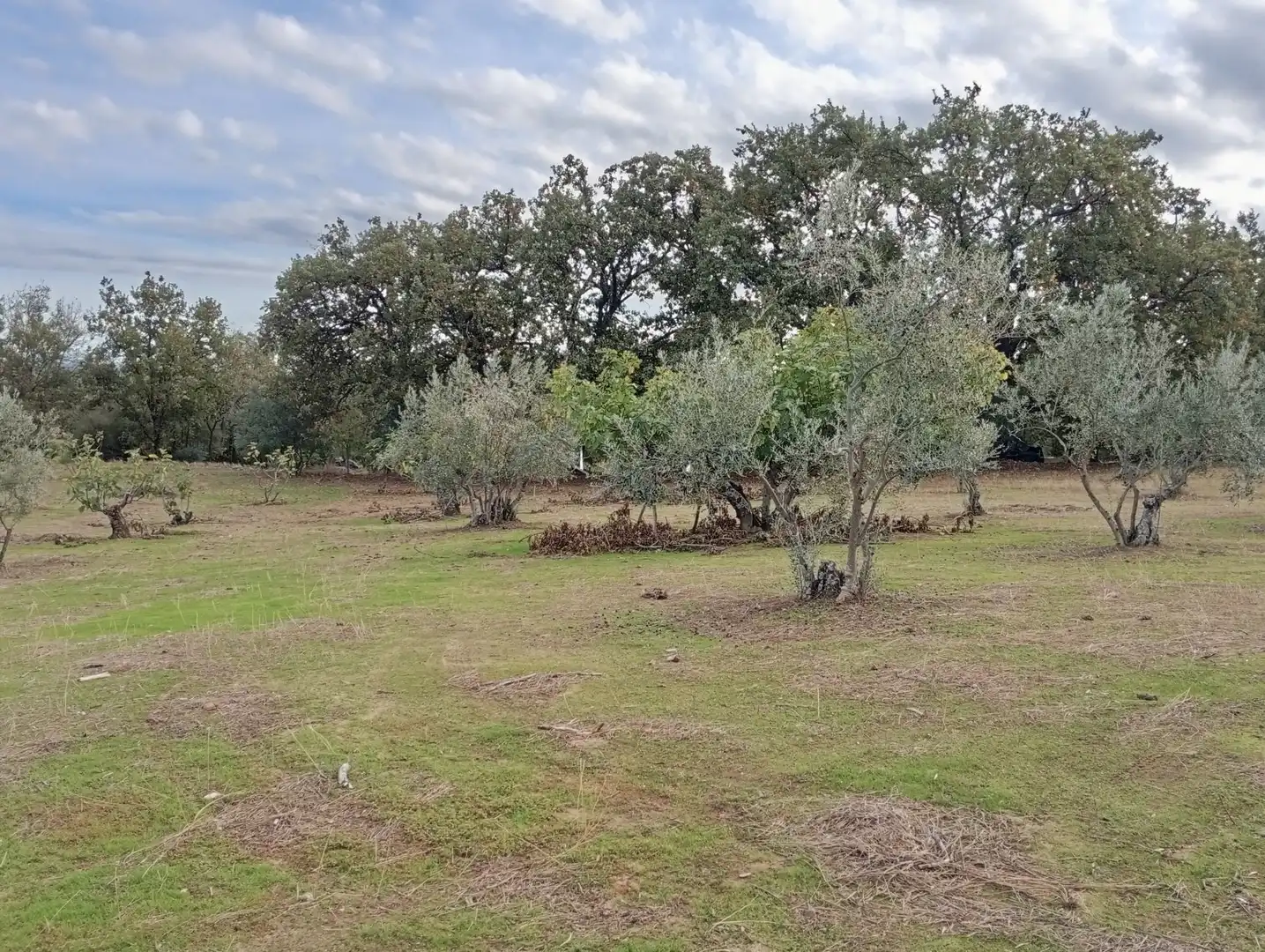 Terreni e lotti in vendita a Villanueva de la Vera, imagen 9