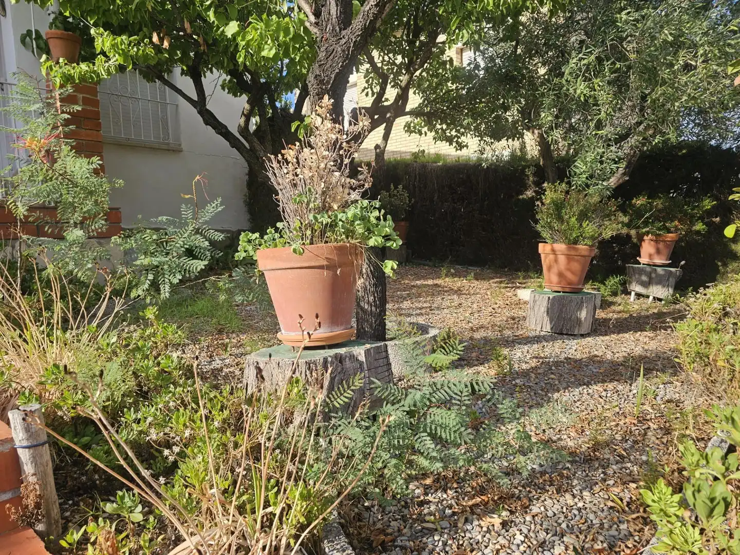 Casa amb jardí en venda a Carrer Carrer Margarida, imagen 3