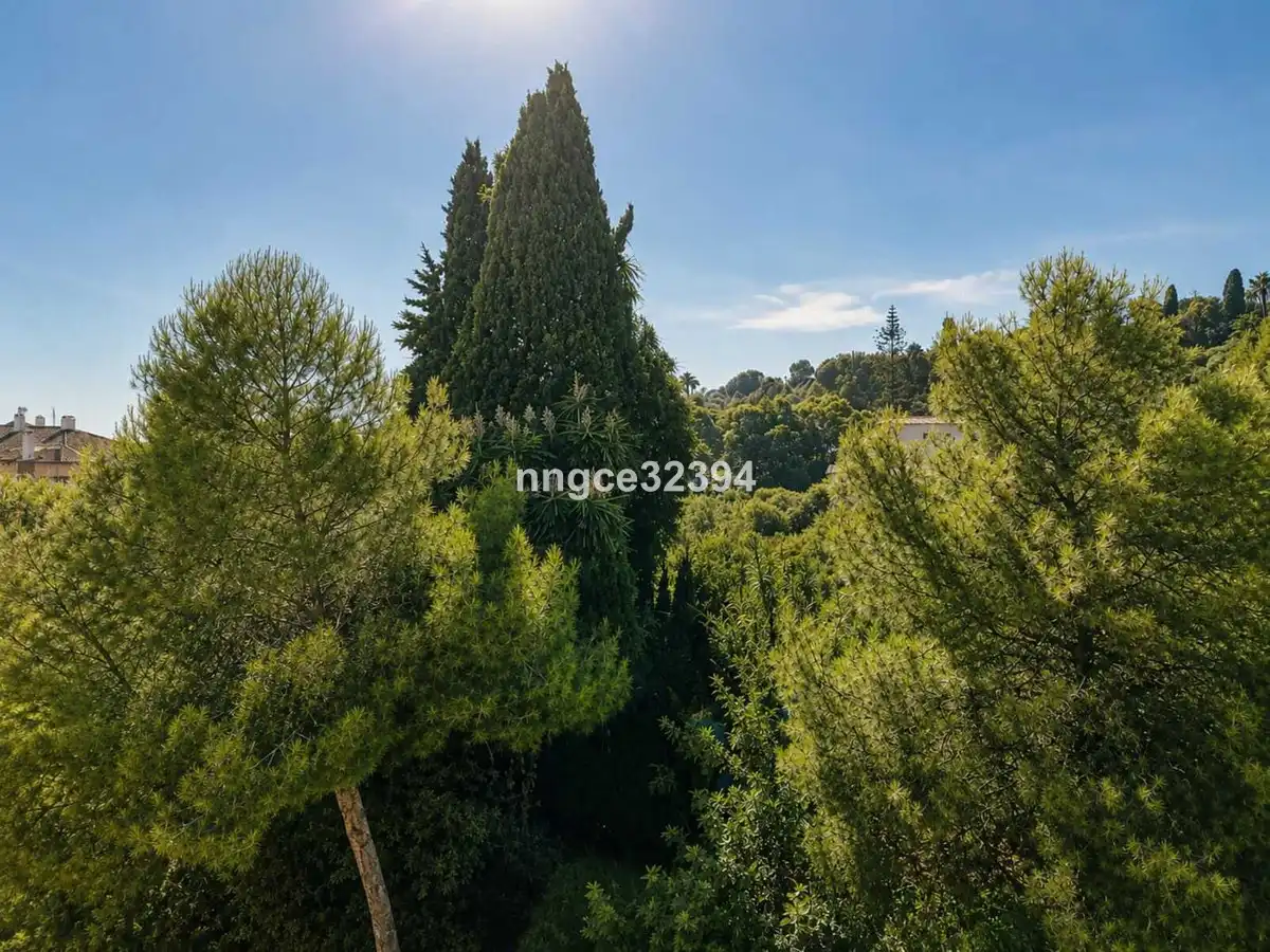 Apartment for sale in Milla de Oro, imagen 26