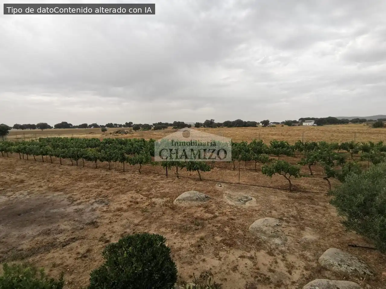 Casa o chalet en venta en Campanario con Jardín privado, Trastero y Piscina