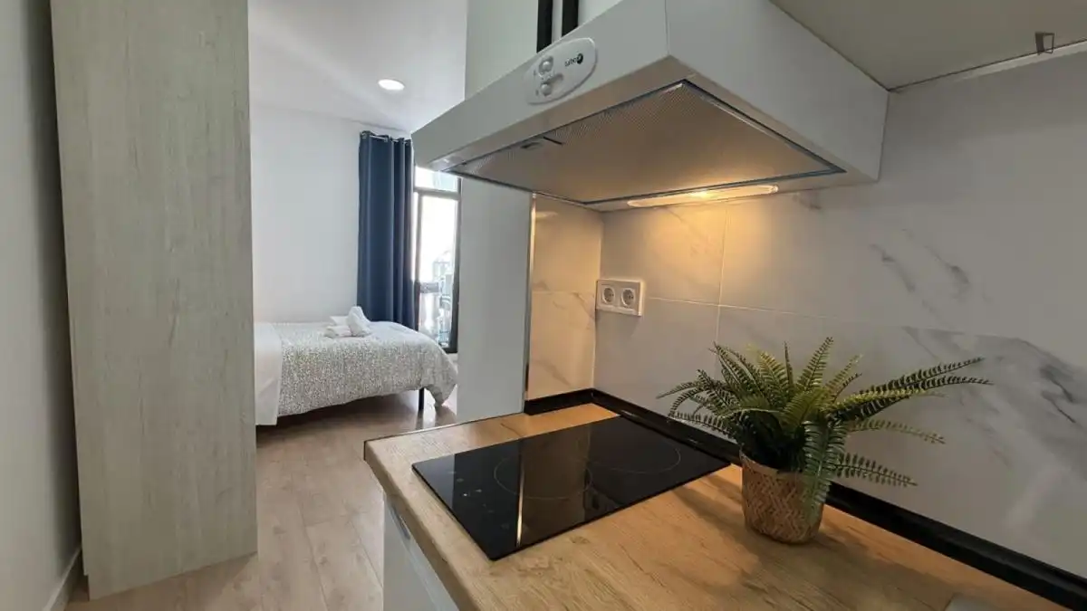 Studio avec ascenseur à louer à Centro, imagen 12