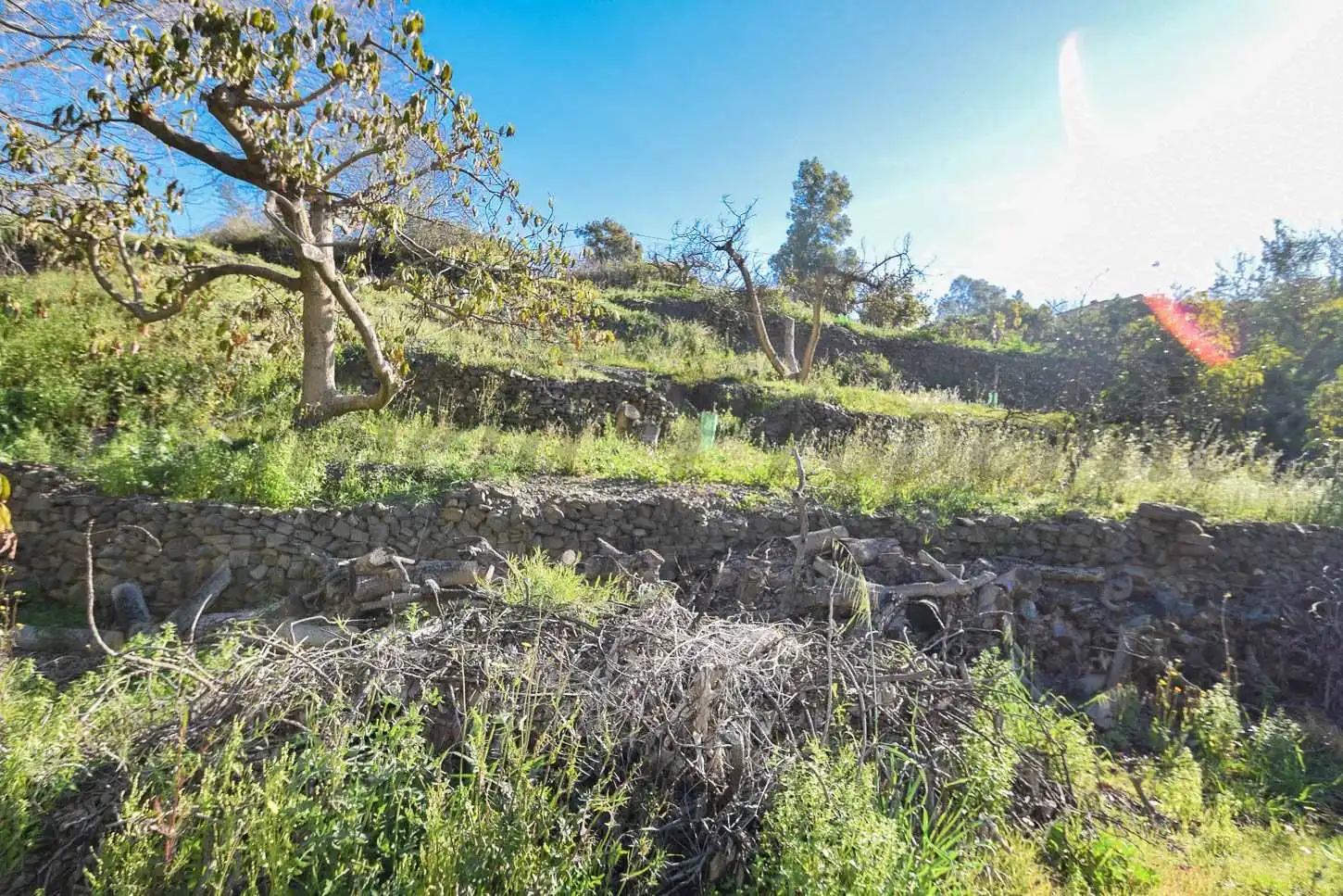 Rustikales Grundstück zum Verkauf in Torrox Pueblo, imagen 7