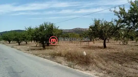 Rural land for sale in Calle de Polígono F 209, imagen 10