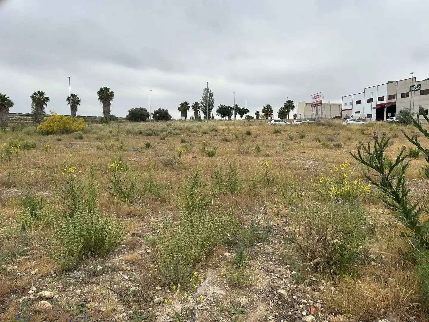 Lands and plots for sale in Mollina, imagen 7