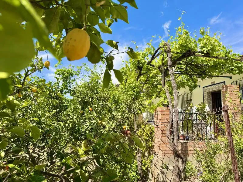 Jardín de Casa o chalet en venta en Alfarnatejo
