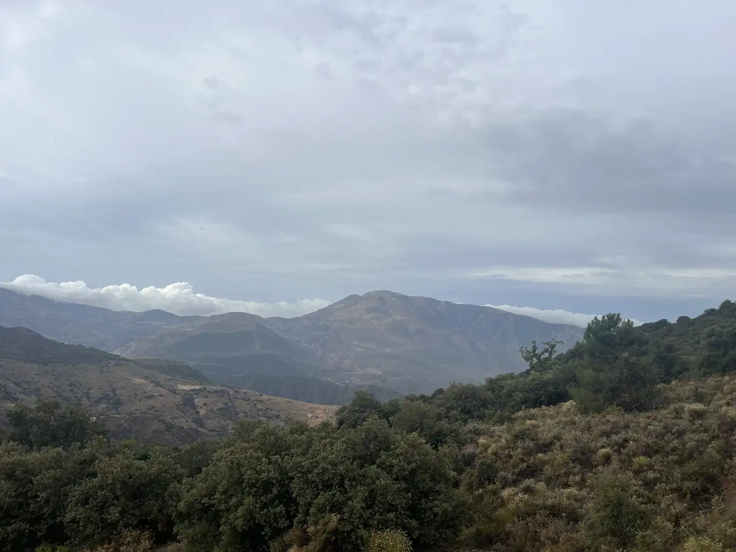 Vista exterior de Terreno en venta en La Taha
