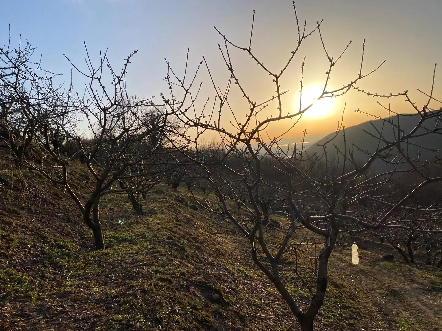Terreni e lotti in vendita a Hervás, imagen 4