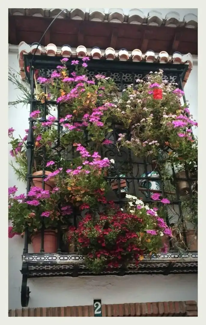 Balcony of Houses for sale in Granada  with Terrace