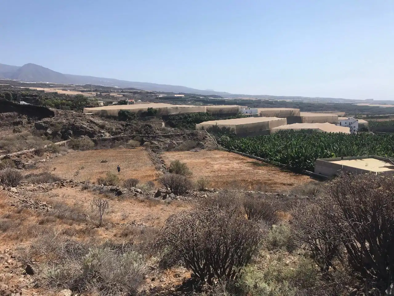 Rural land for sale in Alcalá