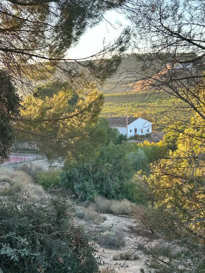 Terreni e lotti in vendita a Fraga, imagen 48