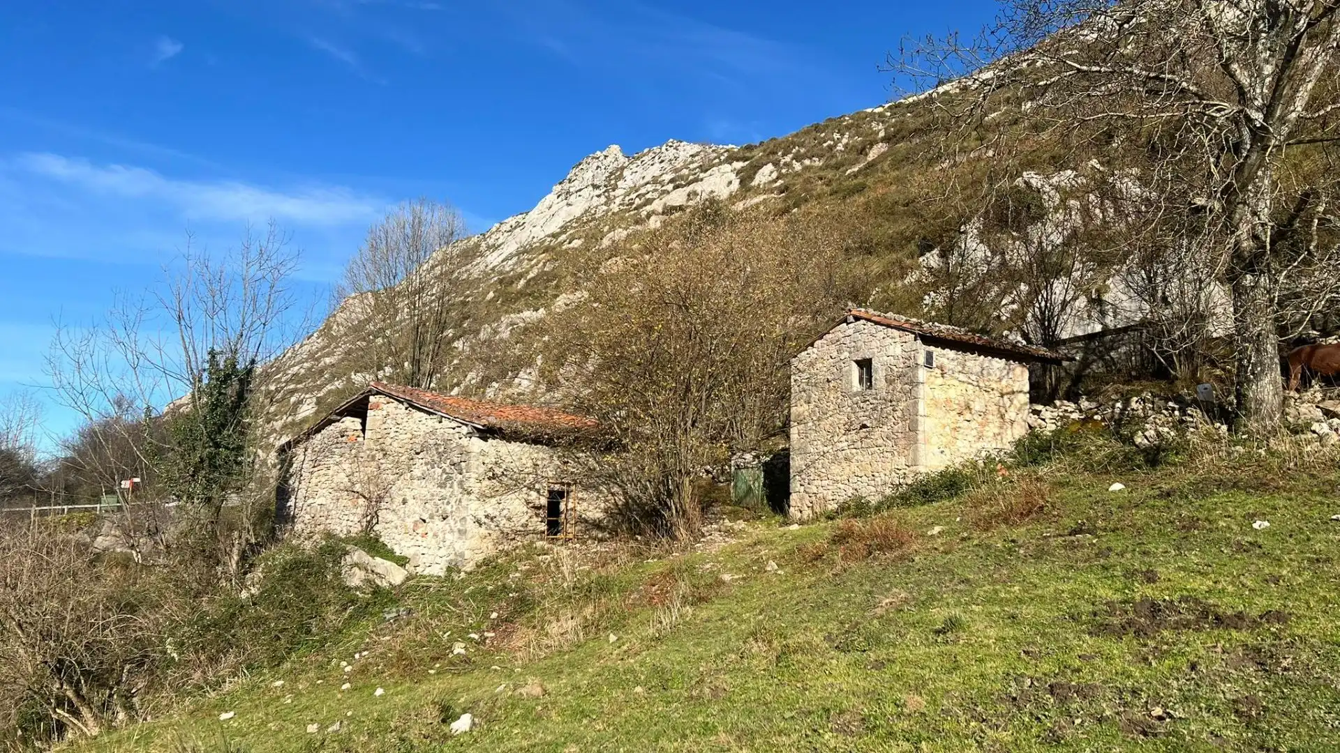 Terreno rustico in vendita a Cangas de Onís, imagen 2