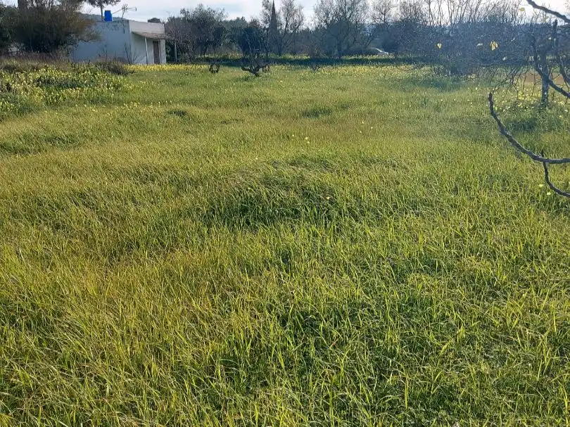 Land for sale in Sant Antoni de Portmany
