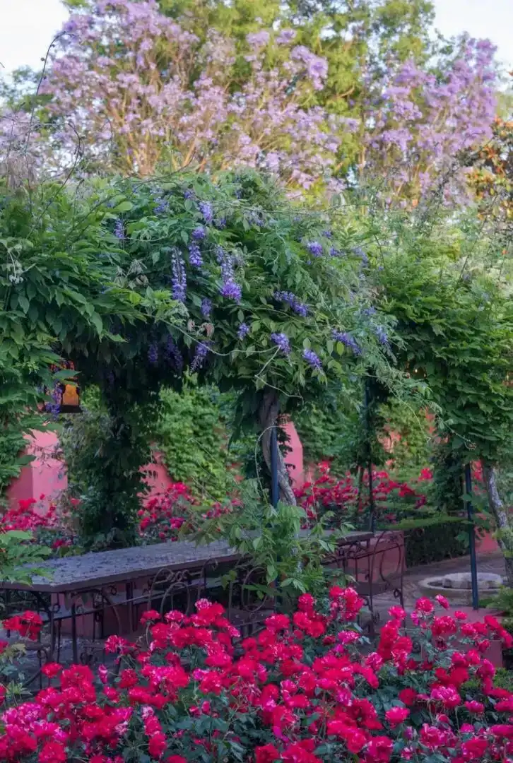Jardí de Finca rústica en venda en Mairena del Aljarafe amb Aire condicionat, Jardí privat i Parquet