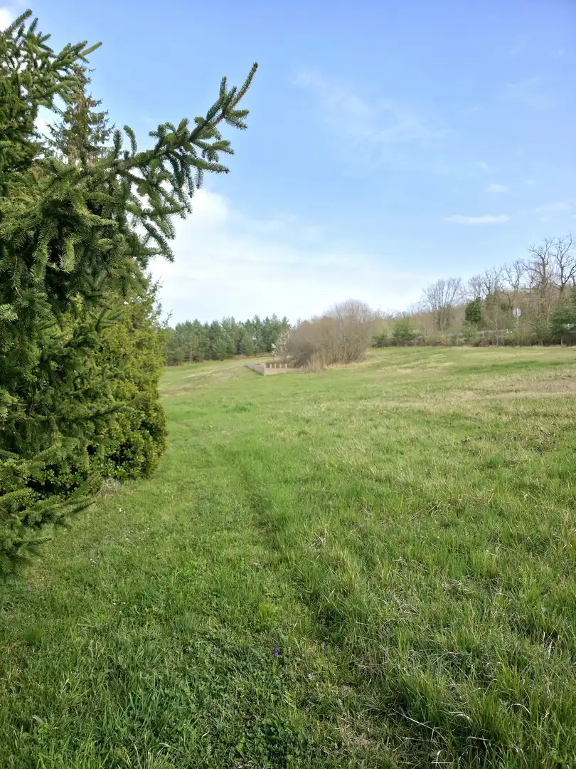 Casa o xalet en venda en Pomar de Valdivia amb Calefacció, Jardí privat i Terrassa