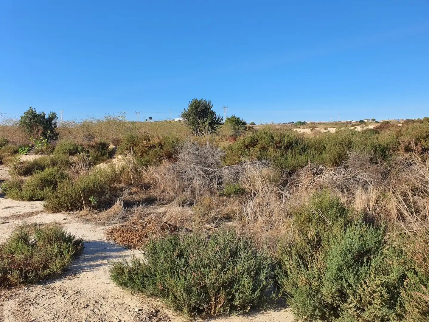 Residencial en venda en Alicante / Alacant