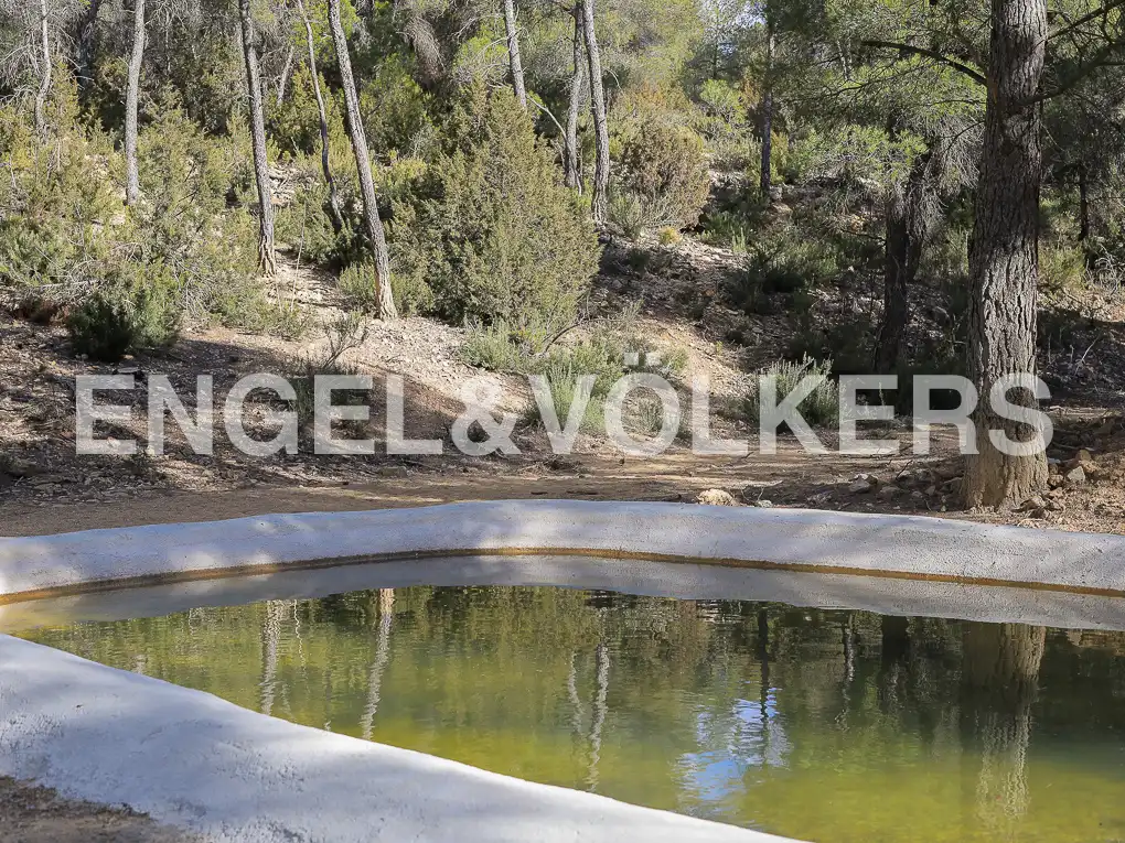 Piscina de Finca rústica en venda en Ayora amb Calefacció, Jardí privat i Terrassa
