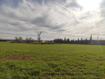 Terrenos y solares en venta en Quintanar de la Orden
