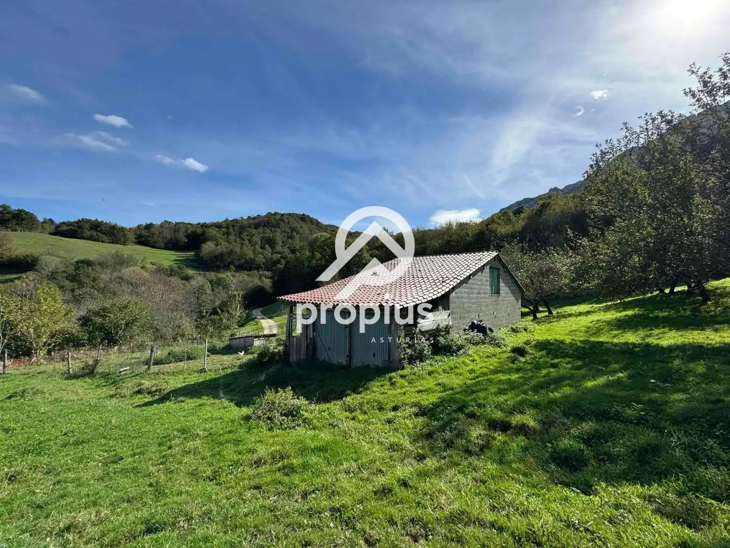 Rural land for sale in Inguanzo, imagen 2