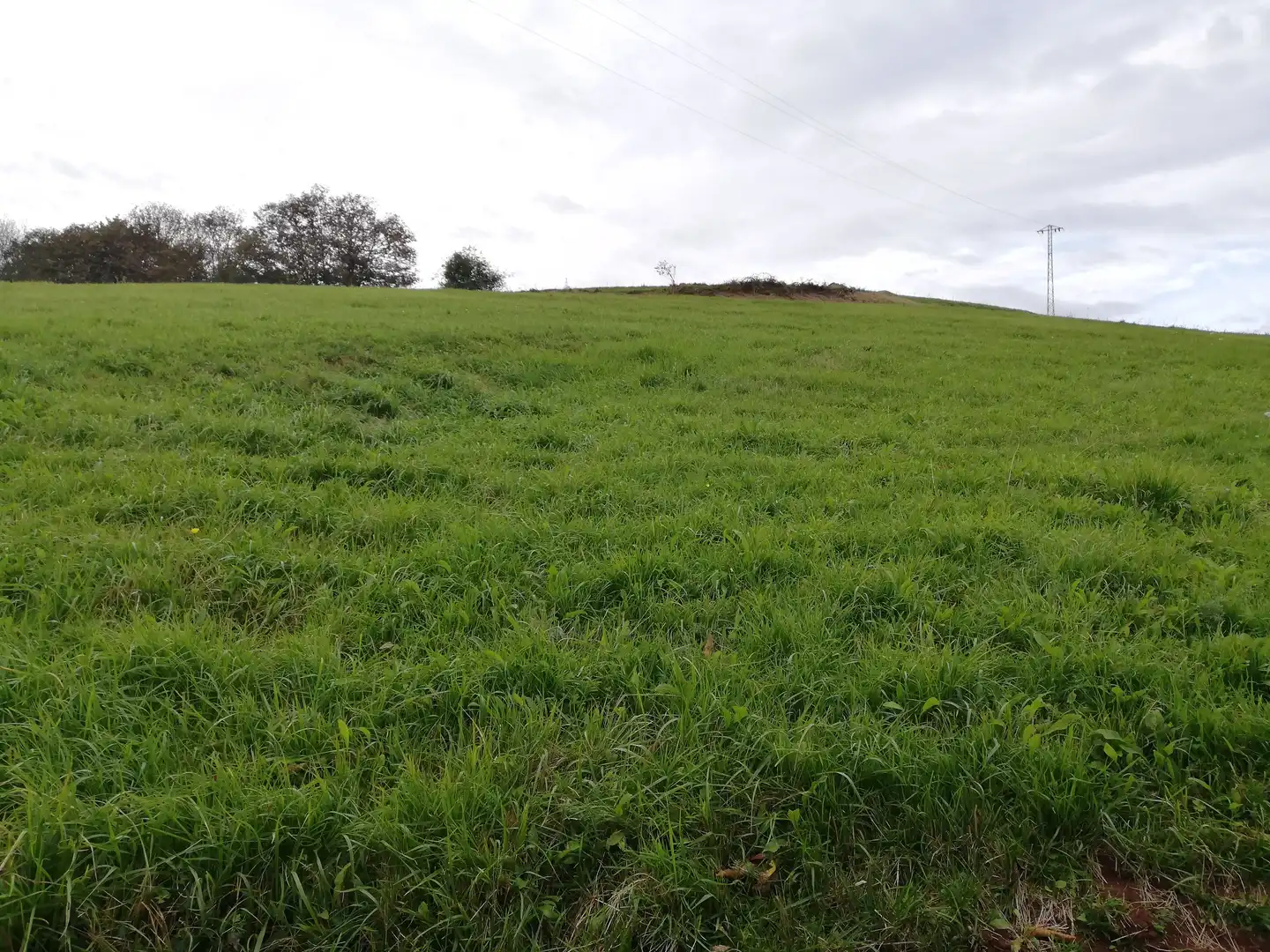 Residential land for sale in Villalegre - La Luz