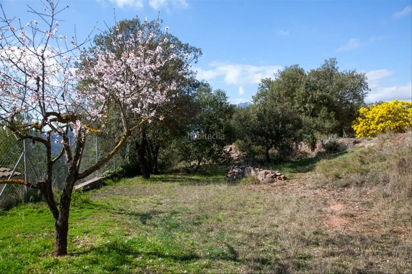 Terreny residencial en venda a Carrer Calvari 11, imagen 13