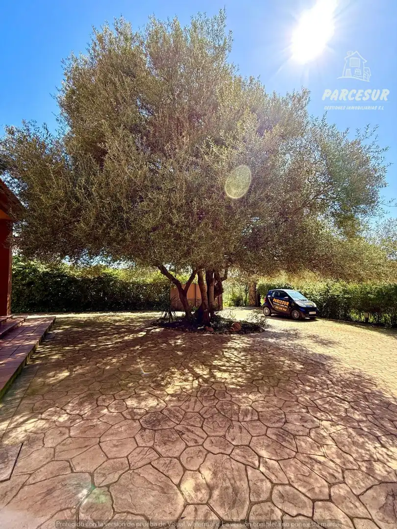 Haus mit Pool zum Verkauf in Almodóvar del Río, imagen 35