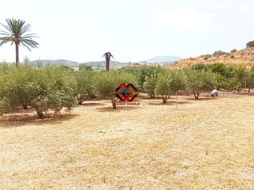 Casa rustica con giardino in vendita a Pedanías Oeste