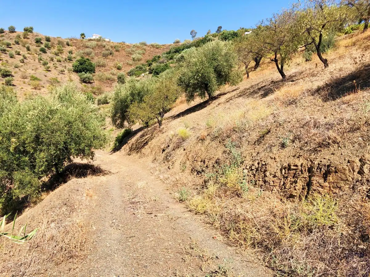 Terrenos y solares en venta en Sedella, imagen 11