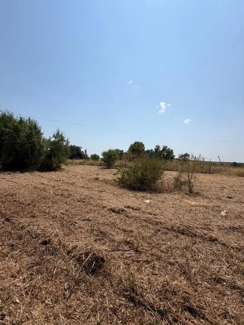 Terreny residencial en venda a Castellví de la Marca, imagen 18