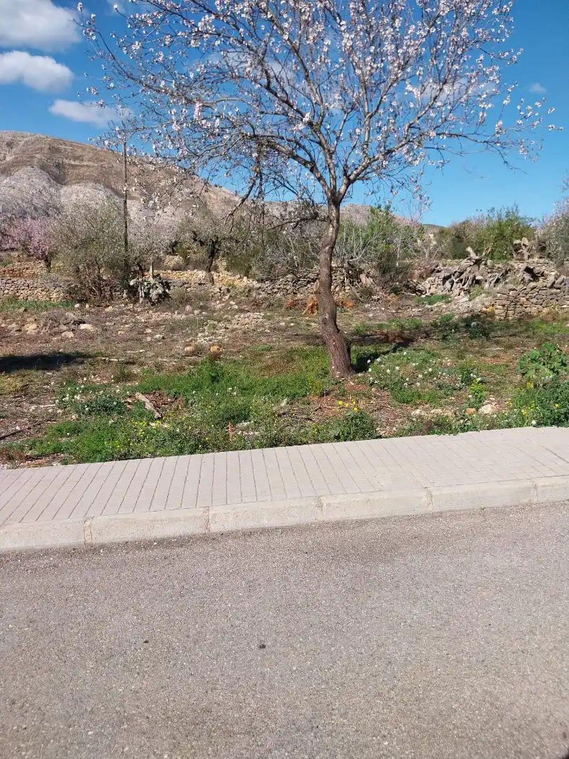 Terreny residencial en venda a Calle San Cristòfol 8, imagen 3