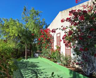 Vista exterior de Casa o xalet en venda en Alicante / Alacant amb Aire condicionat, Terrassa i Piscina