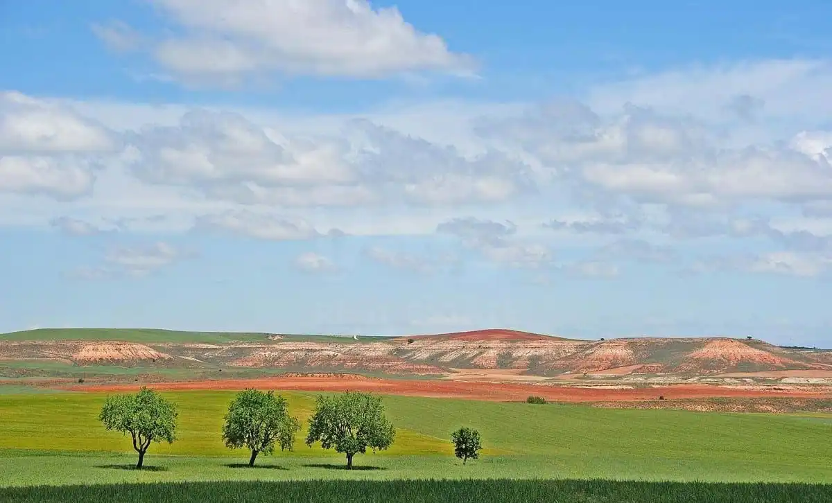Vista exterior de Terreno en venta en Morón de Almazán