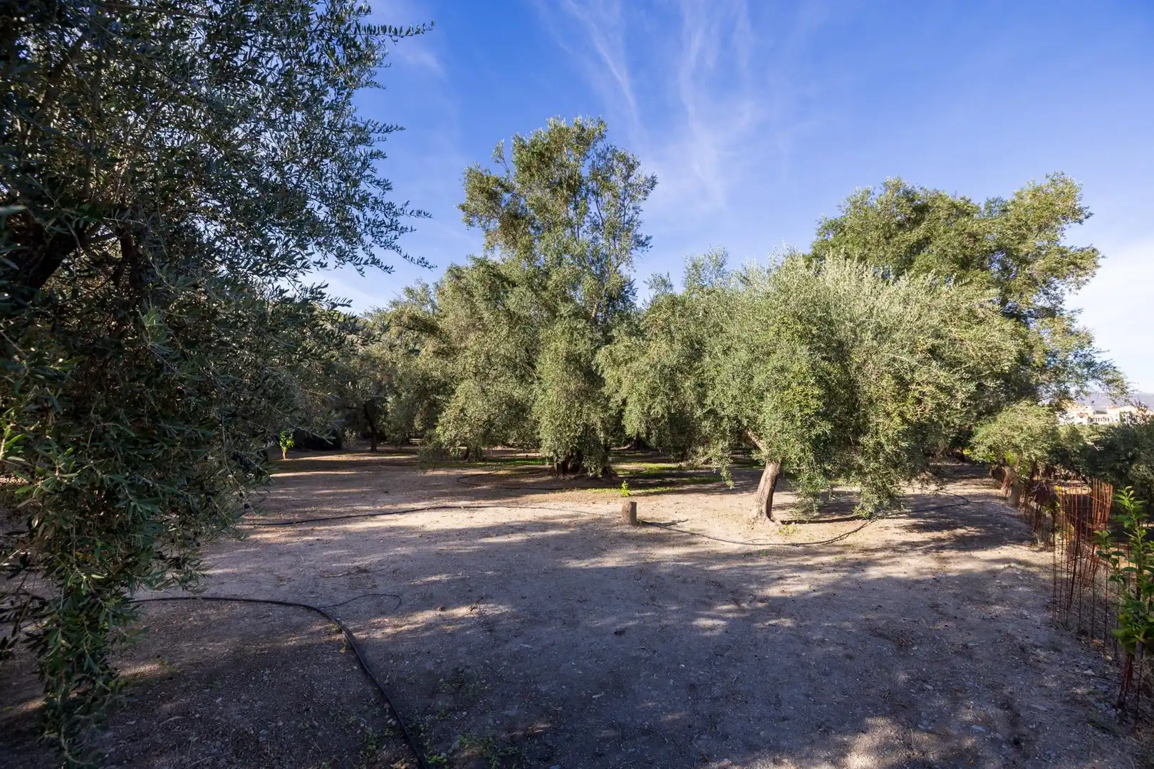 Terreni e lotti in vendita a Lecrín, imagen 37