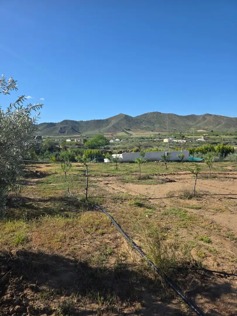 Detached house with garden for sale in Huércal-Overa, imagen 5